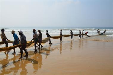 Fishing with net, Chowara Beach,_DSC_9572_H600